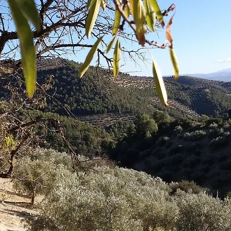 Molino Mairena