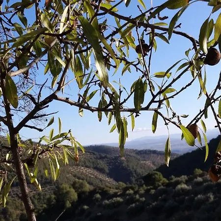 Molino Mairena Holiday home Montefrio